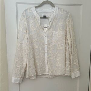 Pilcro White and Cream Button-Down Shirt